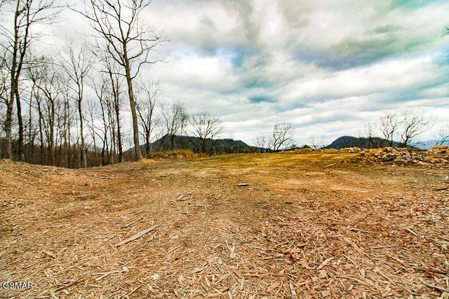 0 Mountain Ash Way, Sevierville, TN 37876