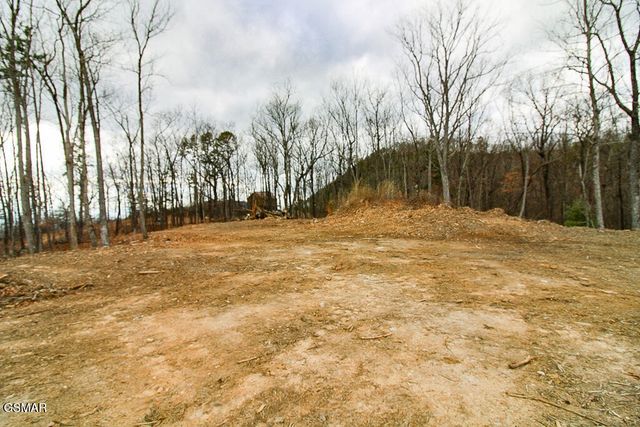 0 Mountain Ash Way, Sevierville, TN 37876