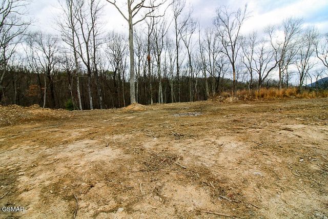 0 Mountain Ash Way, Sevierville, TN 37876