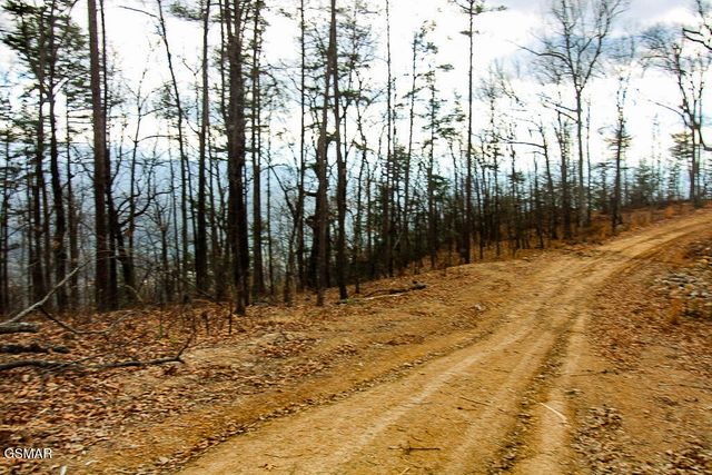 0 Mountain Ash Way, Sevierville, TN 37876