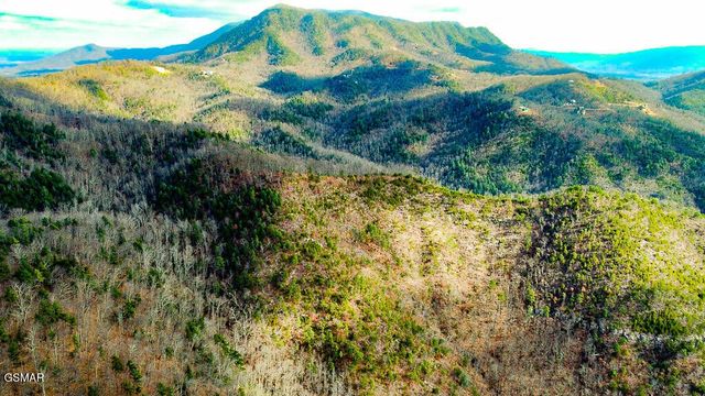 0 Mountain Ash Way, Sevierville, TN 37876