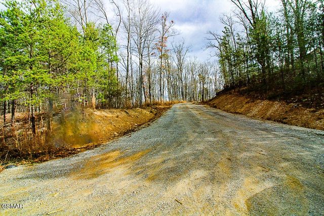 0 Mountain Ash Way, Sevierville, TN 37876