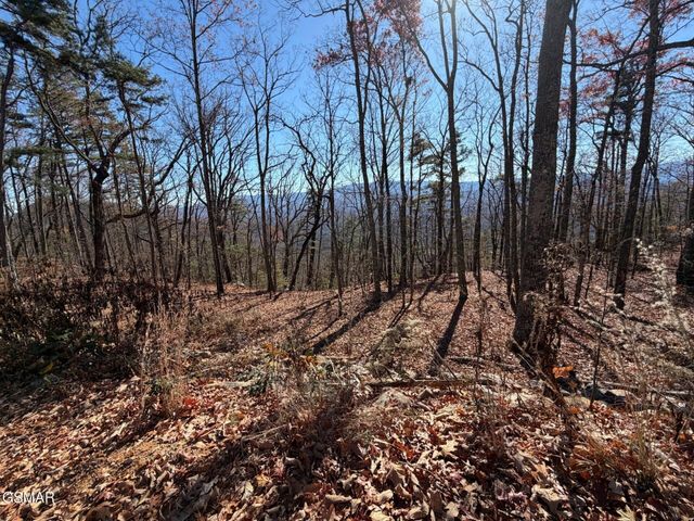 0 Mountain Ash Way, Sevierville, TN 37876