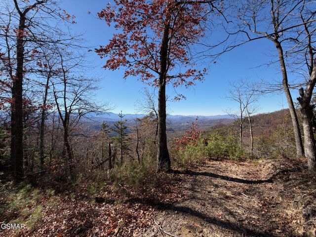 0 Mountain Ash Way, Sevierville, TN 37876