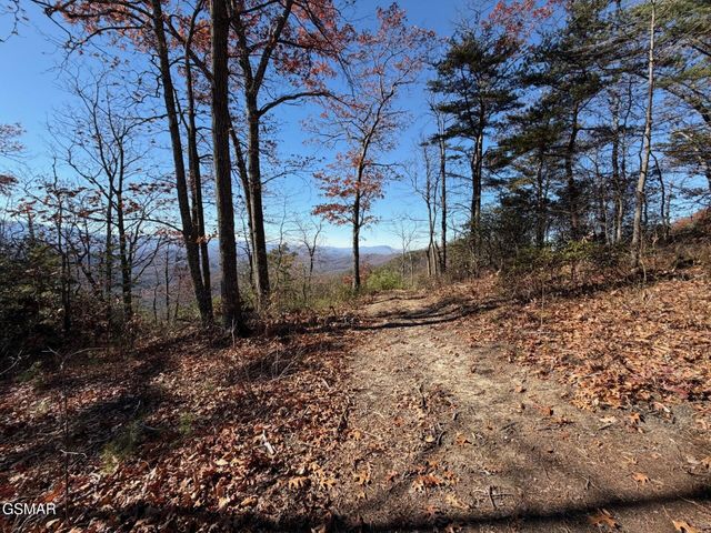 0 Mountain Ash Way, Sevierville, TN 37876