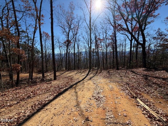 0 Mountain Ash Way, Sevierville, TN 37876