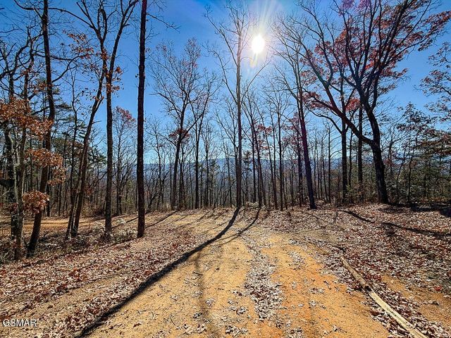 0 Mountain Ash Way, Sevierville, TN 37876