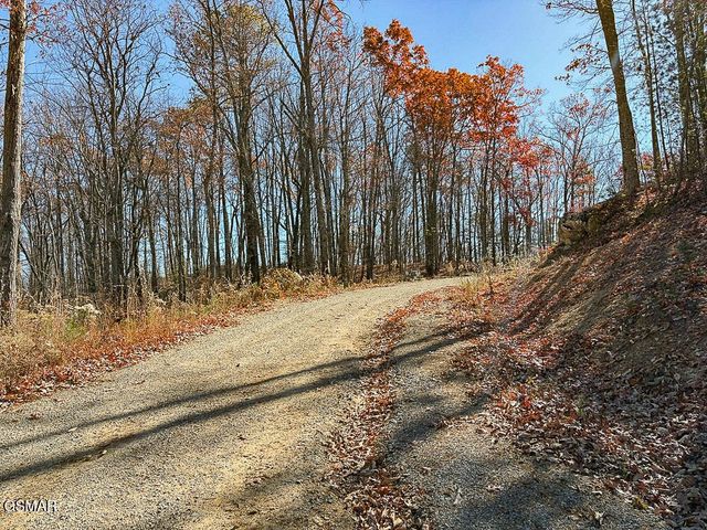 0 Mountain Ash Way, Sevierville, TN 37876