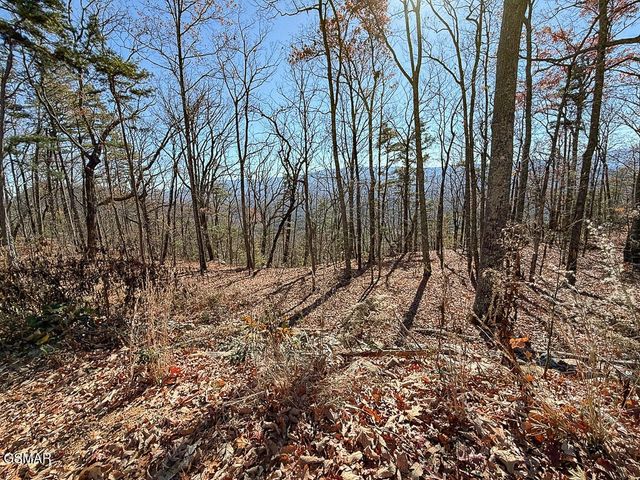0 Mountain Ash Way, Sevierville, TN 37876