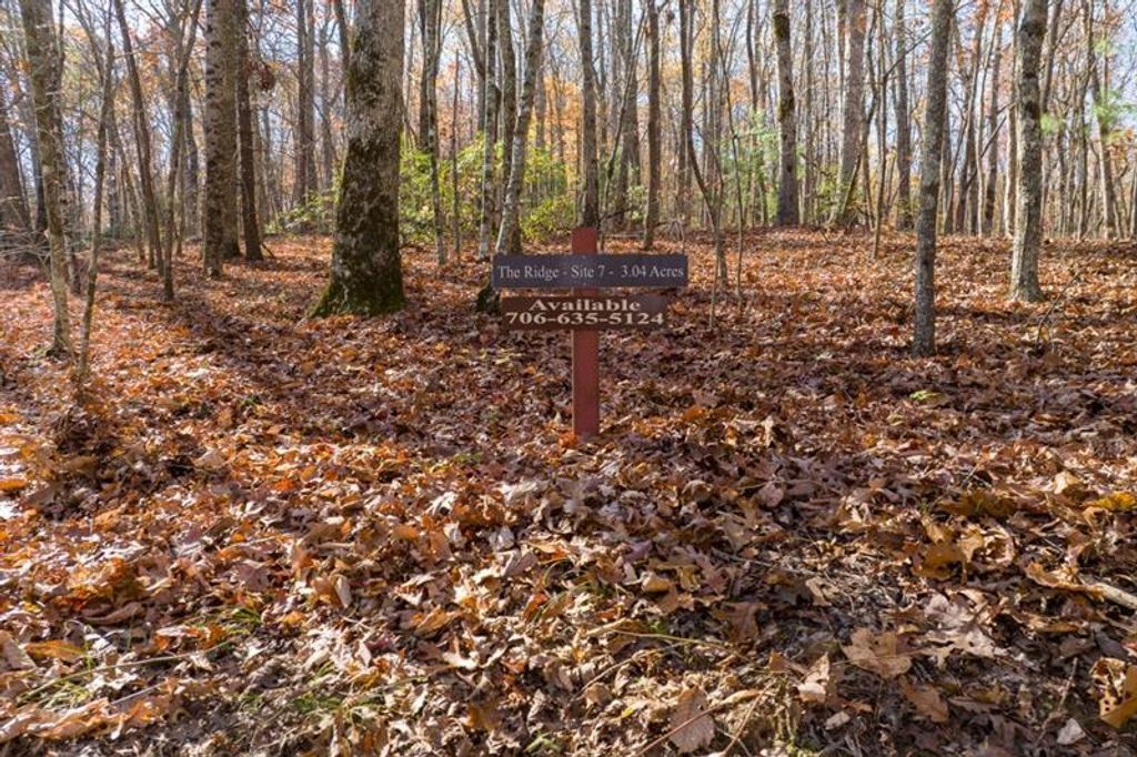 LOT 7 Joseph Anderson Trail, Ellijay, GA 30536
