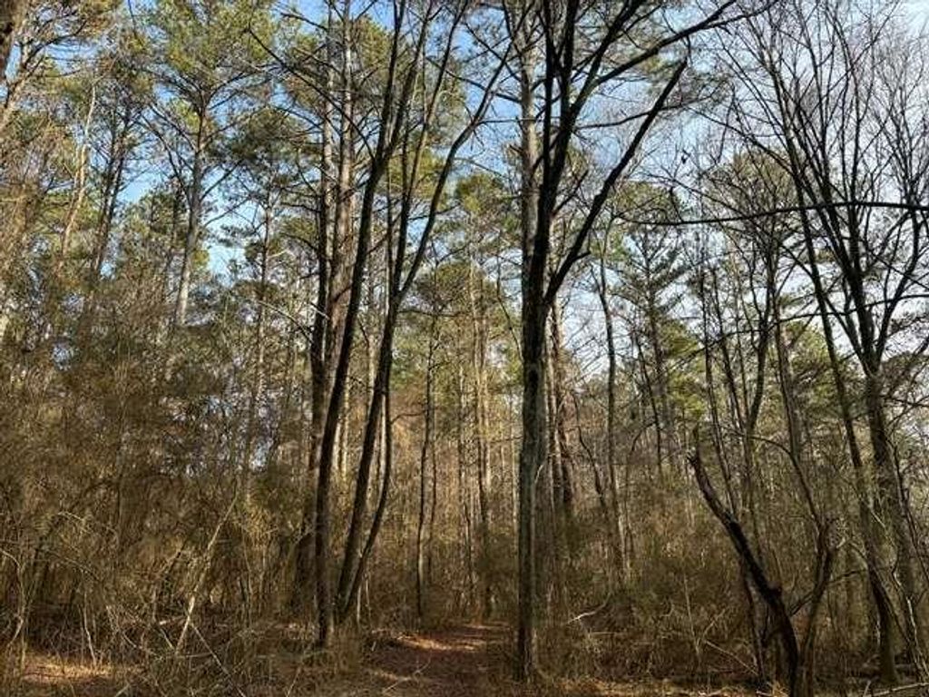 2994 Mt Zion Rd #1, Carrollton, GA 30117