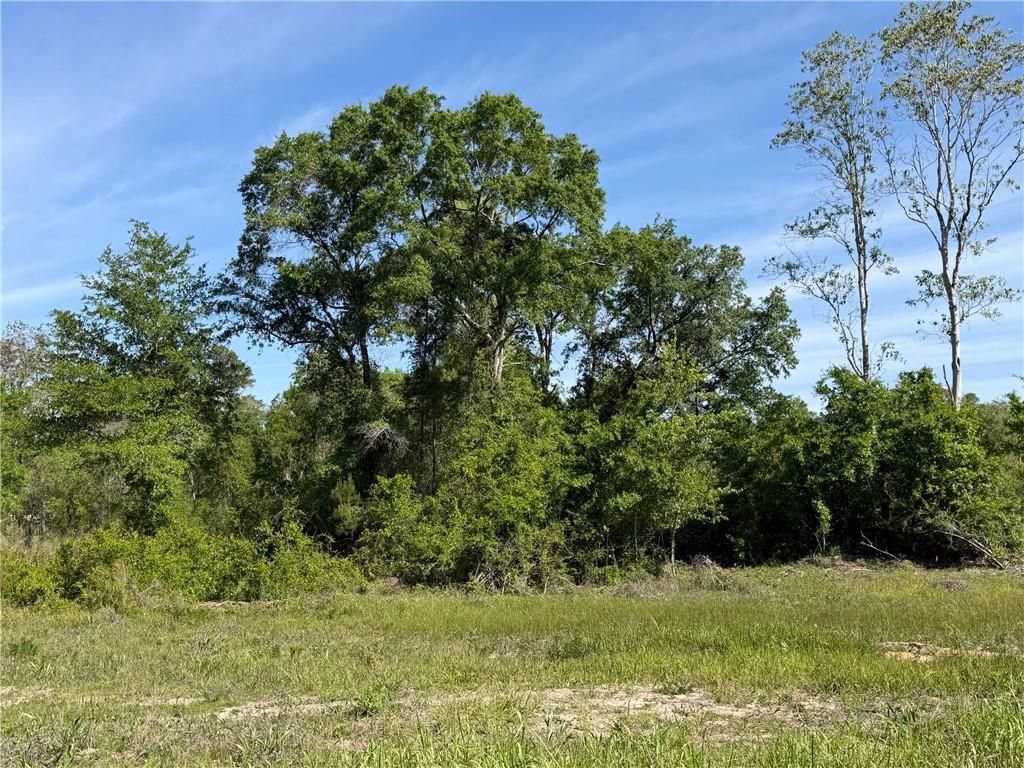 0 Sandy Creek Lane, Mobile, AL 36695 — photo 3
