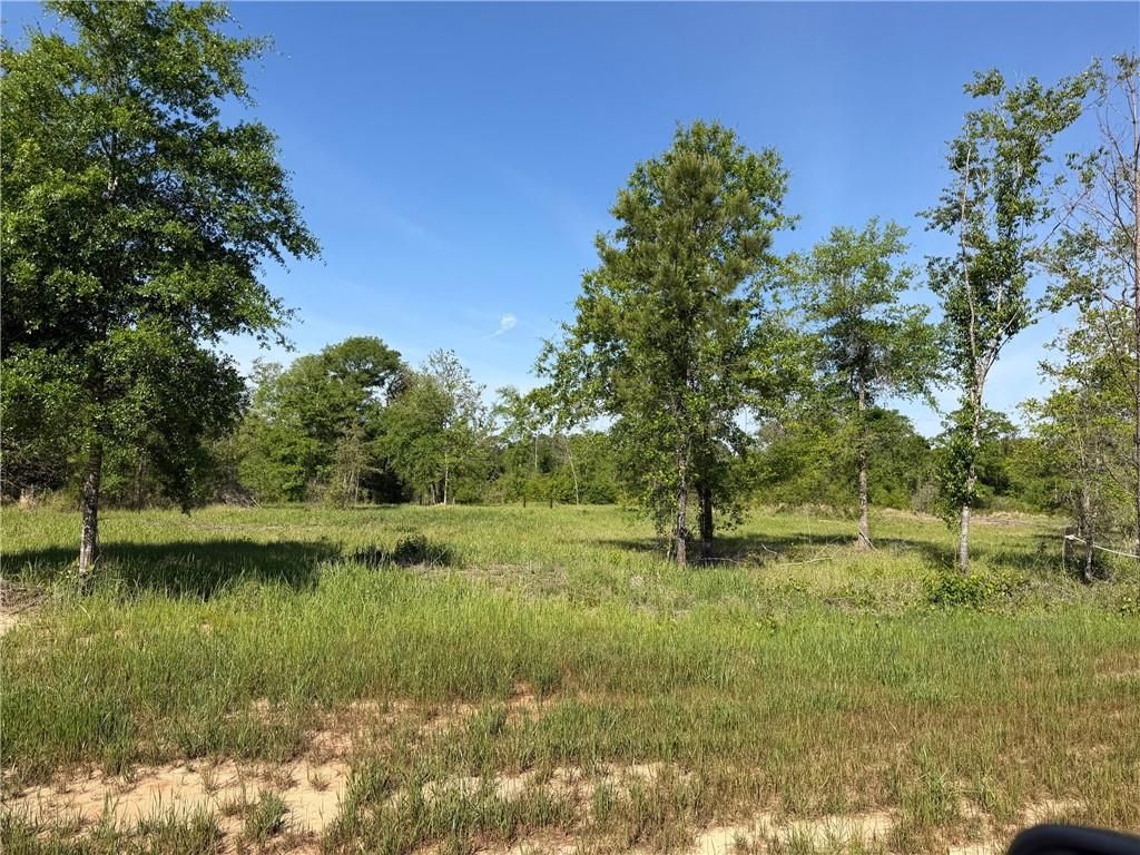 0 Sandy Creek Lane, Mobile, AL 36695 — photo 4