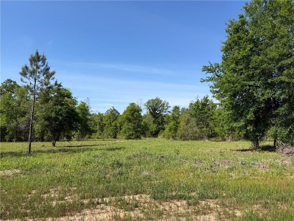0 Sandy Creek Lane, Mobile, AL 36695 — photo 5