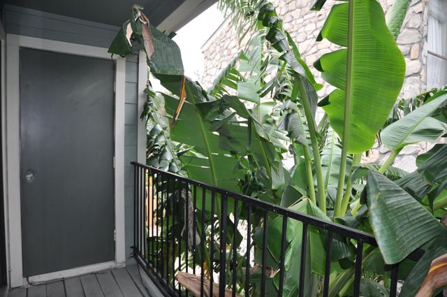 3754 Tanglewilde Street C16, Houston, TX 77063