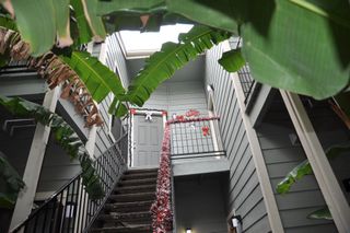 3754 Tanglewilde Street C16, Houston, TX 77063