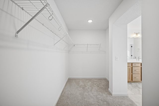 11637 Minnesota Lane N, Dayton, MN 55369