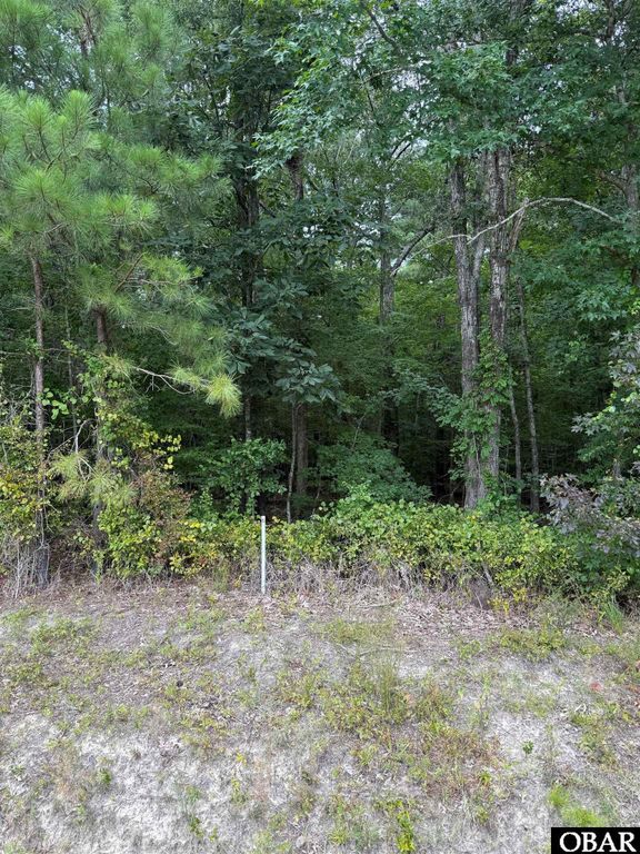 Image 1 of property listing at TBD Boat Ramp Road Lot 5, New Hope, NC 27944