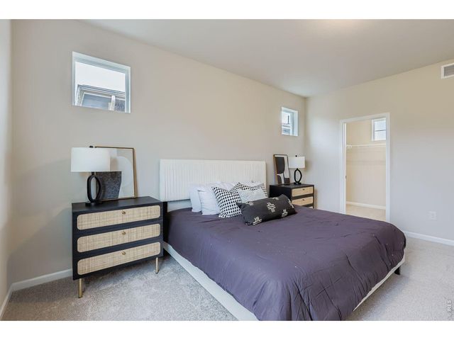656 Noola St, Windsor, CO 80550