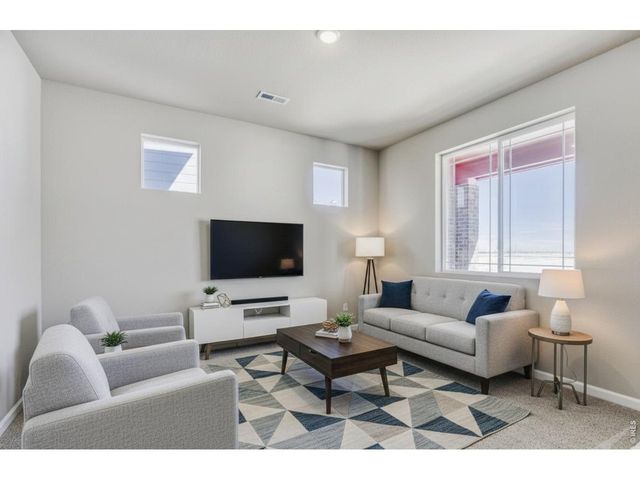 656 Noola St, Windsor, CO 80550