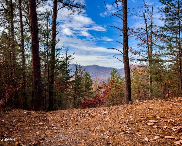12 Stackstone Road, Sevierville, TN 37862