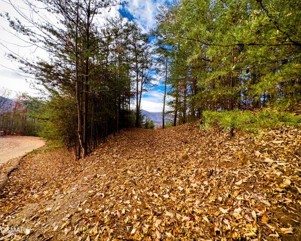 12 Stackstone Road, Sevierville, TN 37862