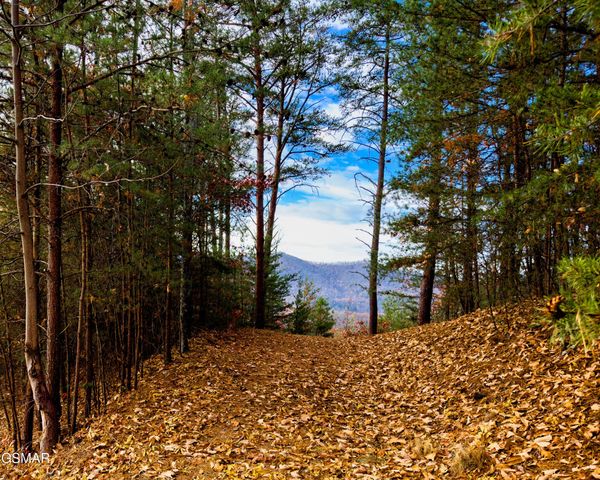 12 Stackstone Road, Sevierville, TN 37862
