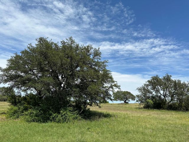 45 acres County Road 330, Bertram, TX 78605