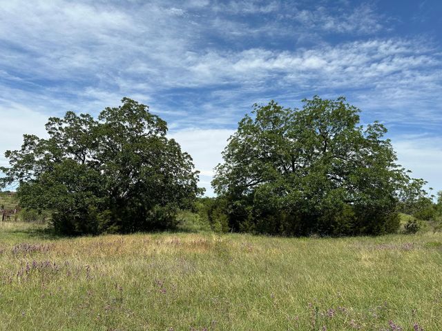 45 acres County Road 330, Bertram, TX 78605
