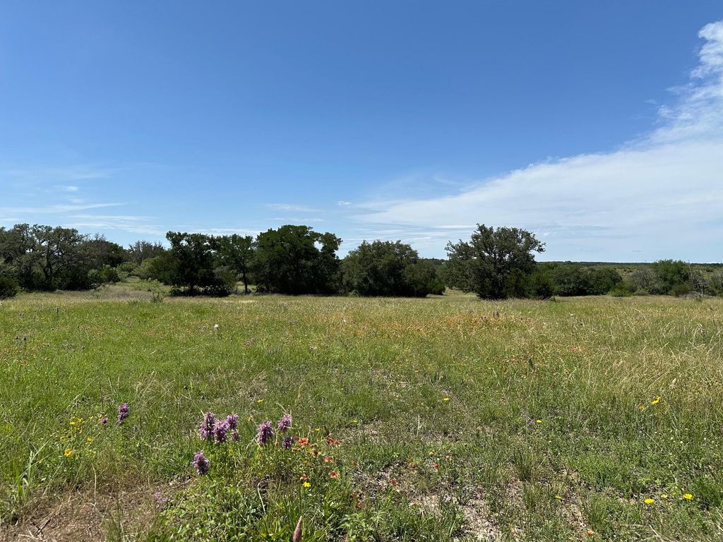 45 acres County Road 330, Bertram, TX 78605
