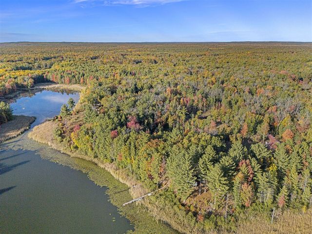 6483 S Emma Avenue, Baldwin, MI 49304