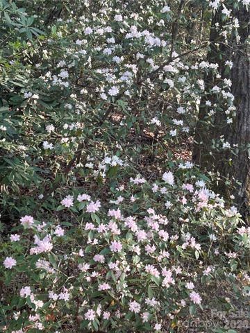 1413 Golf Course Road 24A, Old Fort, NC 28762