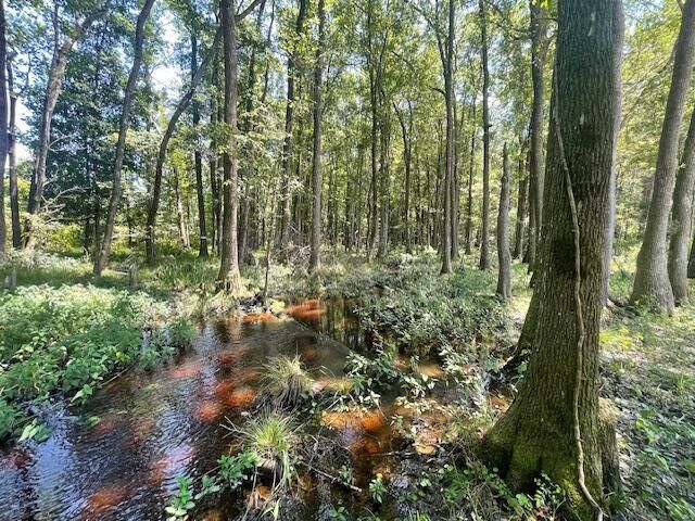 5 Grooms Road, Cross, SC 29436