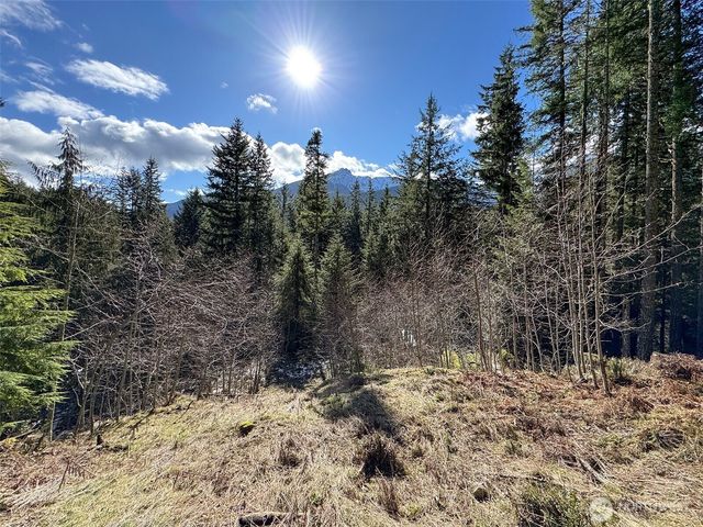 9999 Lake Dawn Road, Port Angeles, WA 98362