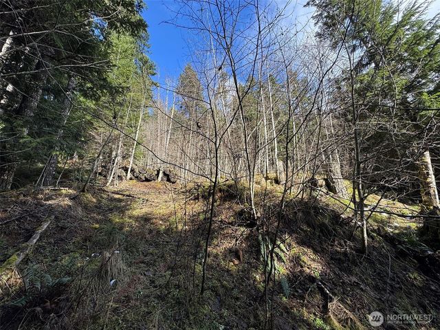 9999 Lake Dawn Road, Port Angeles, WA 98362