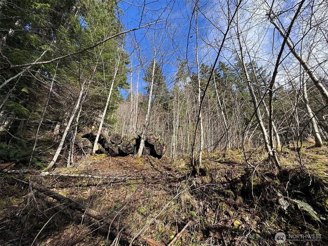 9999 Lake Dawn Road, Port Angeles, WA 98362