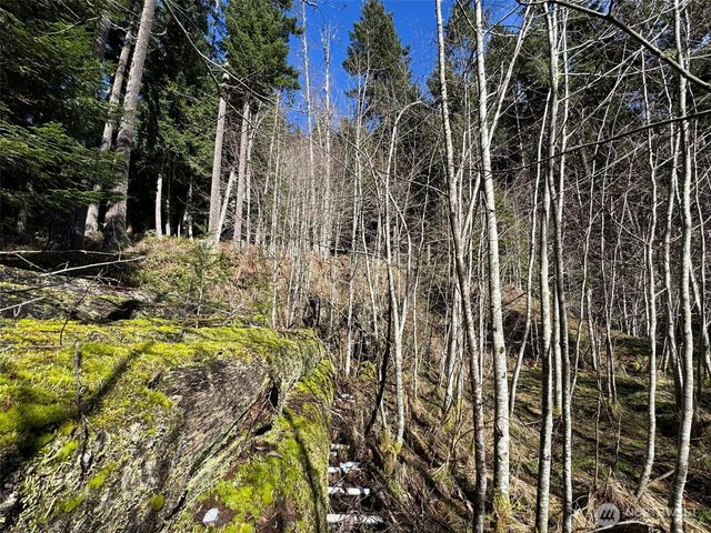 9999 Lake Dawn Road, Port Angeles, WA 98362