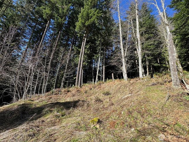 9999 Lake Dawn Road, Port Angeles, WA 98362