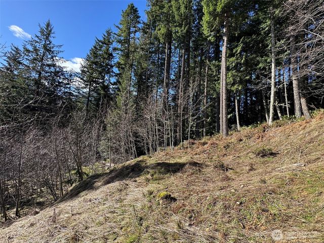 9999 Lake Dawn Road, Port Angeles, WA 98362