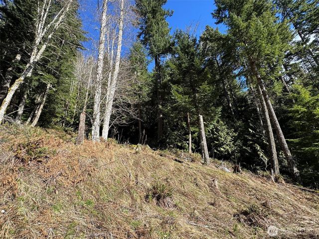 9999 Lake Dawn Road, Port Angeles, WA 98362