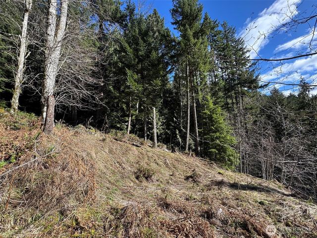 9999 Lake Dawn Road, Port Angeles, WA 98362