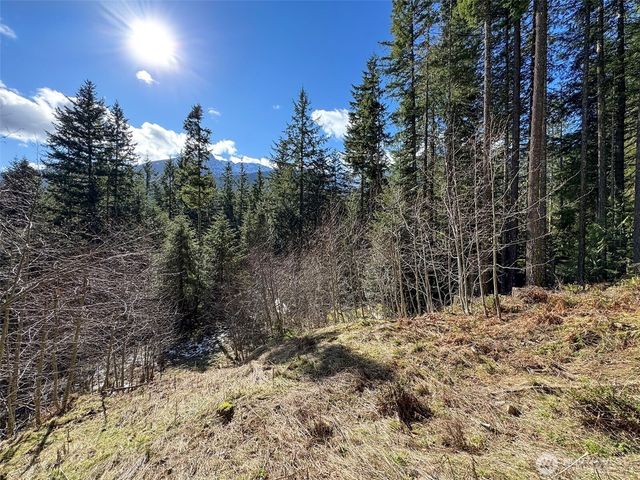 9999 Lake Dawn Road, Port Angeles, WA 98362