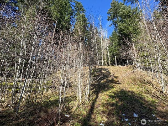 9999 Lake Dawn Road, Port Angeles, WA 98362