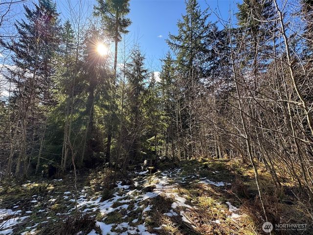 9999 Lake Dawn Road, Port Angeles, WA 98362