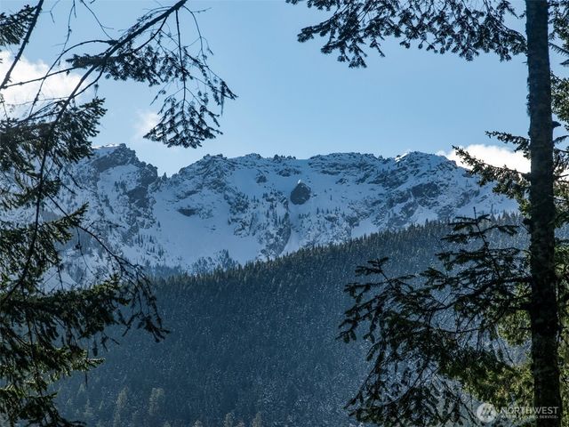 9999 Lake Dawn Road, Port Angeles, WA 98362