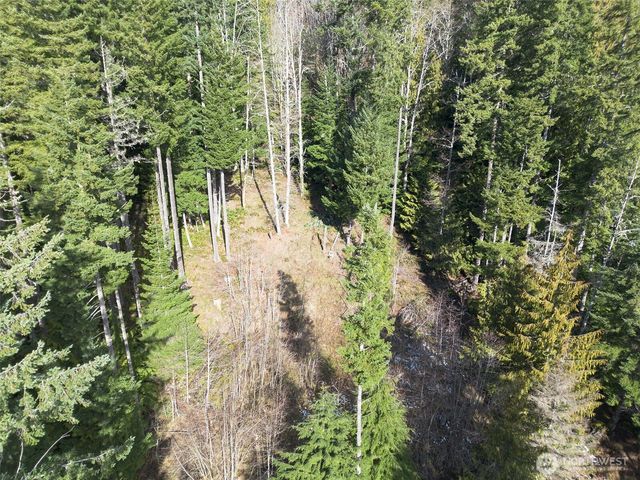 9999 Lake Dawn Road, Port Angeles, WA 98362