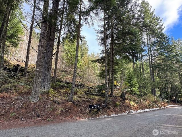 9999 Lake Dawn Road, Port Angeles, WA 98362