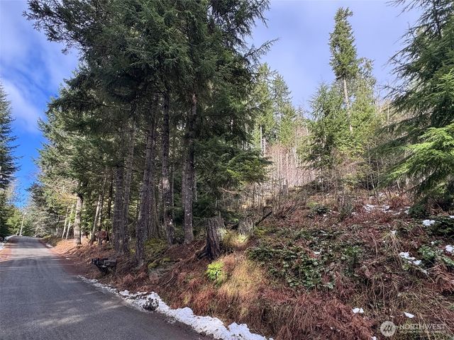 9999 Lake Dawn Road, Port Angeles, WA 98362