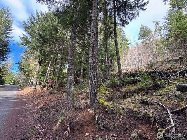 9999 Lake Dawn Road, Port Angeles, WA 98362