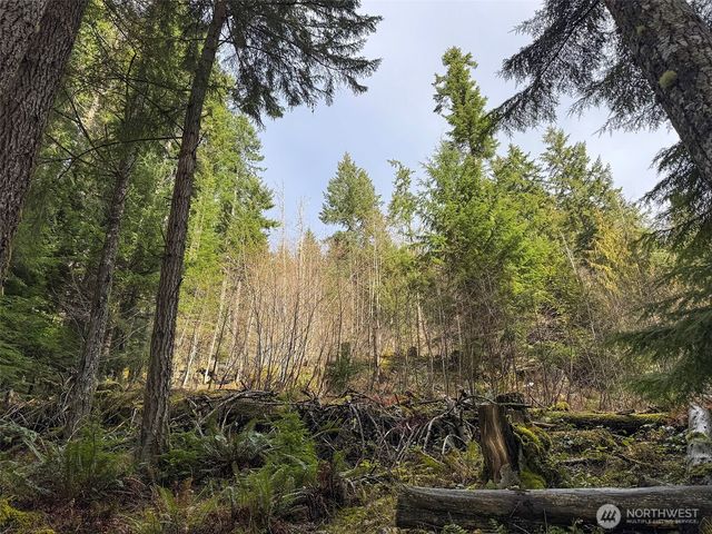 9999 Lake Dawn Road, Port Angeles, WA 98362